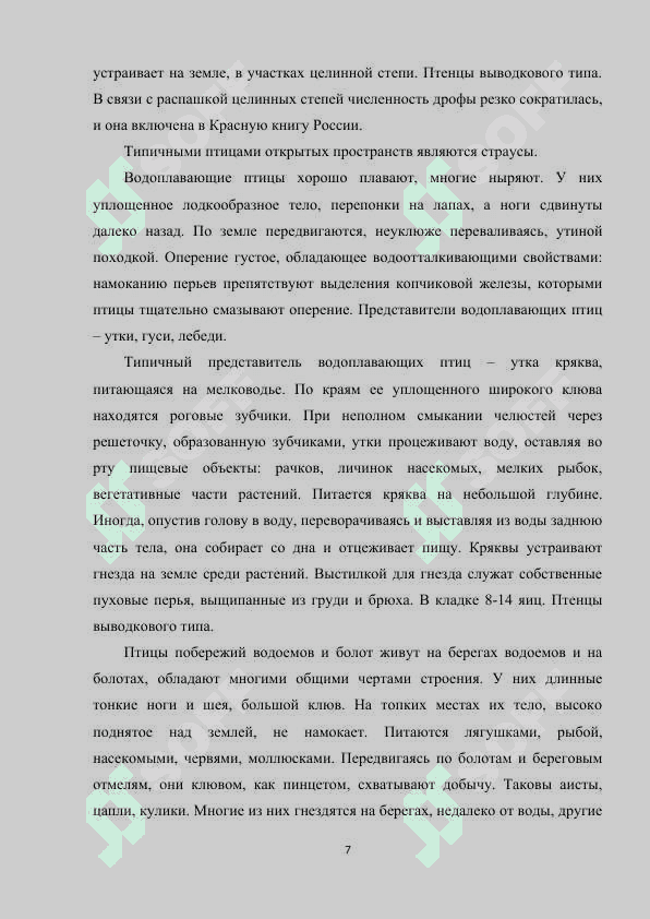 ЭКОЛОГИЯ ПТИЦ 7