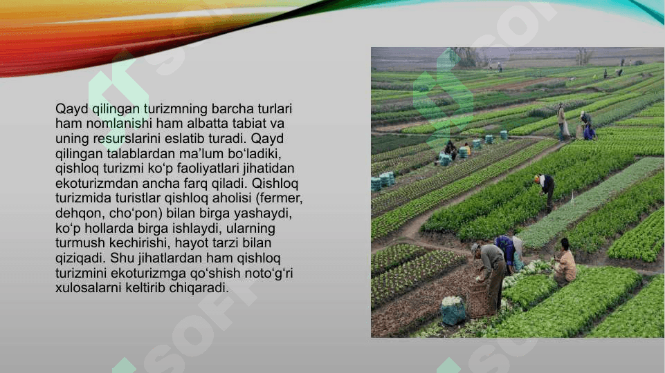 Xorijda qishloq turizmini rivojlantirish tajribasi. 4