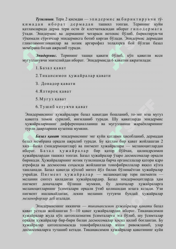 Тери ва унинг ҳосилалари. 2