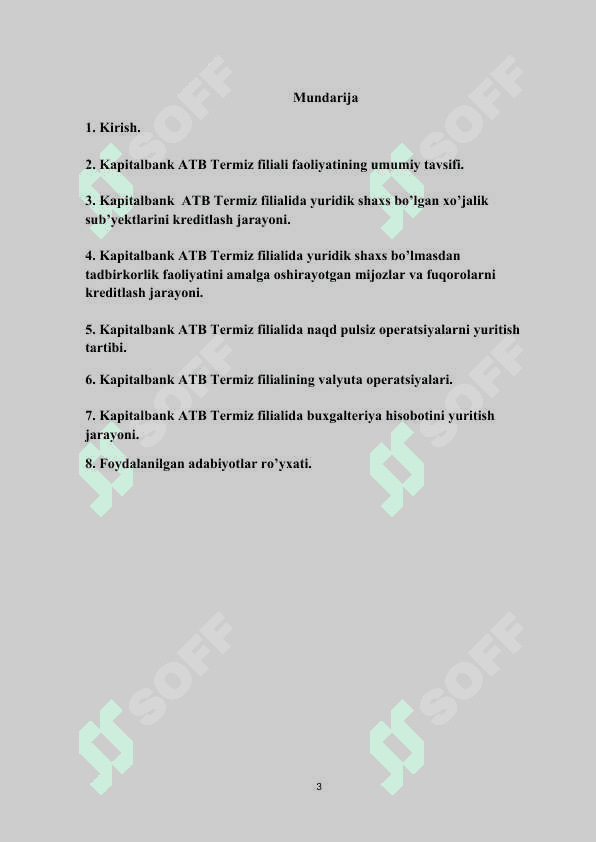 Kapital bank amaliyot hisobot Termiz shahar 2