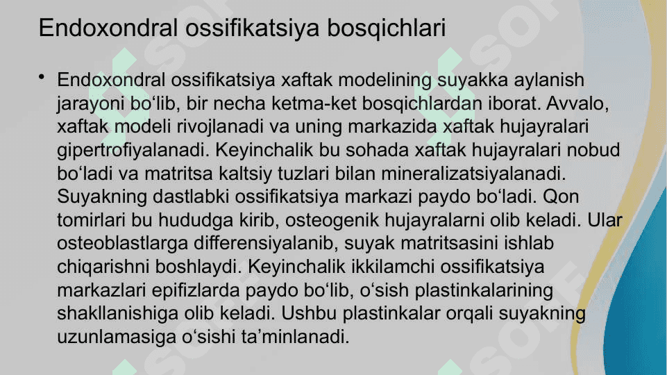 Suyaklarning o'sishi va rivojlanishiga tasiri 7