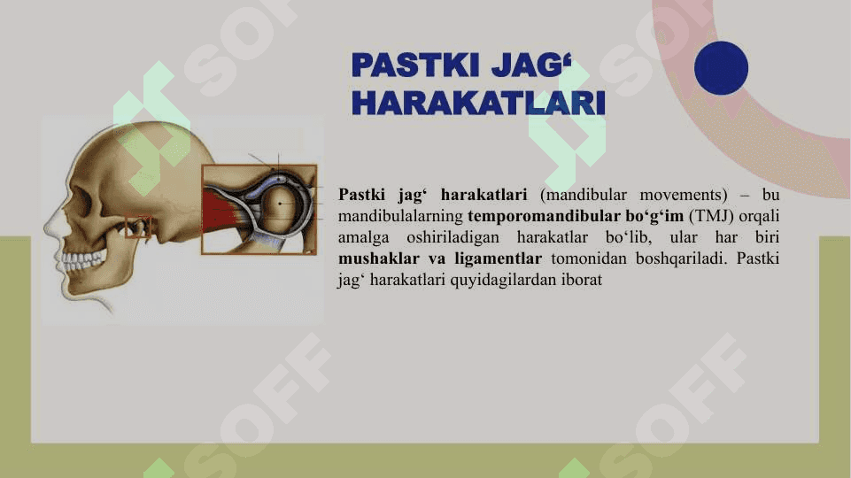 Pastki jag‘ harakati. Tishlarning okklyuzion yuzalari. Shpee egri chizig‘i. Benett burchagi, kesuv va bo‘g‘im yo‘li 3