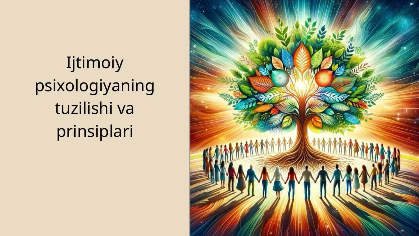 Ijtimoiy psixologiyaning tuzilishi va prinsiplari 1