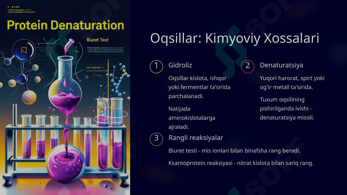 Oqsillar, Yog'lar va Uglevodlar. Umumiy Ma'lumot 4
