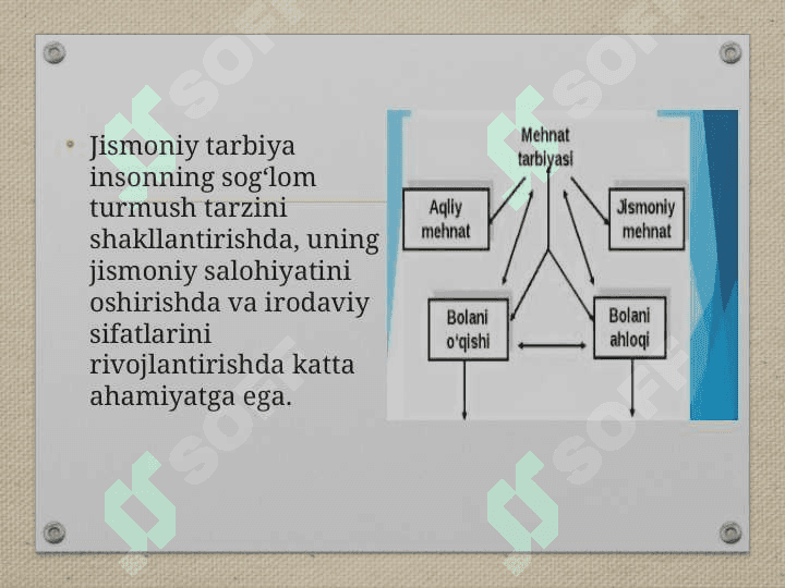 Jismoniy va  estetik tarbiya 3