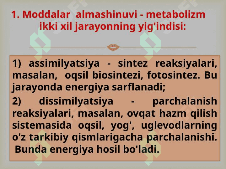 “Tirik organizmlarning xususiyatlari” 3