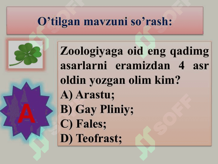Hayvon organizmining tuzilishi, hayvonlarni klassifikatsiya  qilish 2