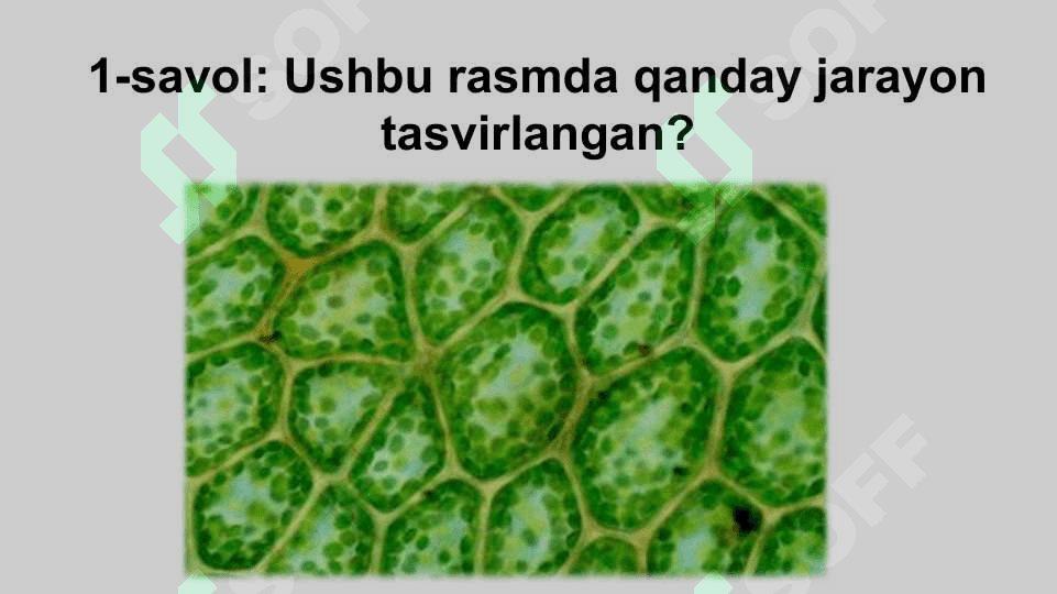 : TIRIK ORGANIZMLARDA O‘Z-O‘ZINI IDORA QILISH ORGANLARI: GUMORAL VA NERV SISTEMASI EVOLUTSIYASI 2