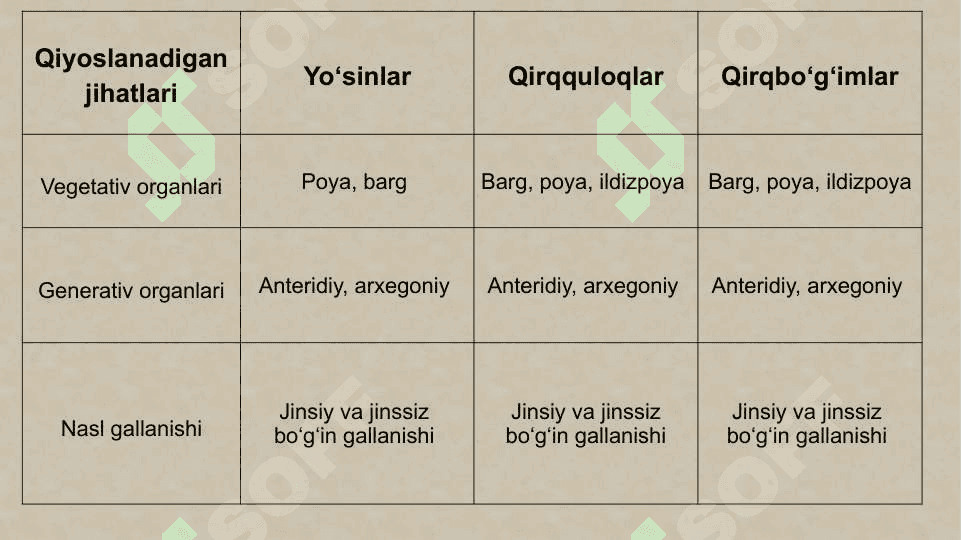 Sporali o‘simliklar, ochiq urug‘li va gulli o‘simliklar misolida aromorfoz, idioadaptatsiyalarni o‘rganish 3