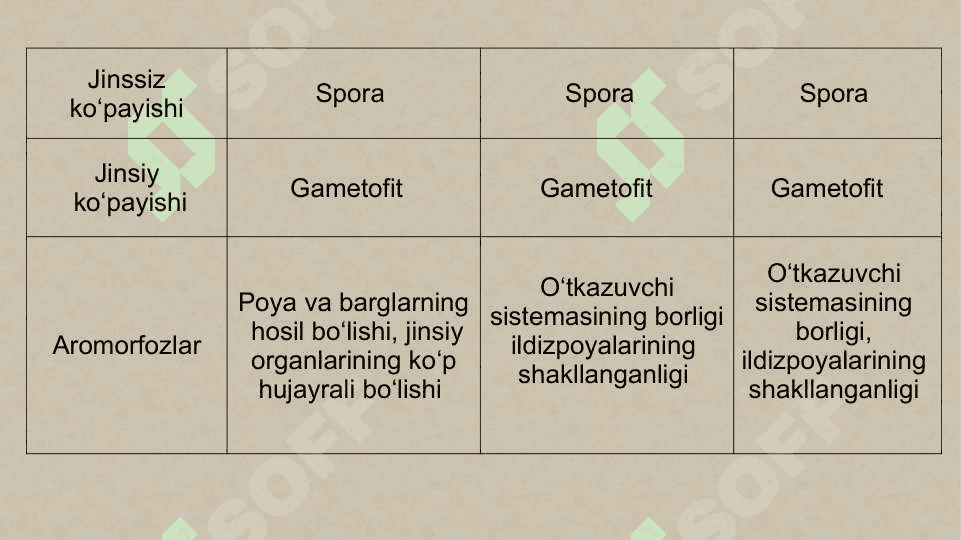 Sporali o‘simliklar, ochiq urug‘li va gulli o‘simliklar misolida aromorfoz, idioadaptatsiyalarni o‘rganish 4