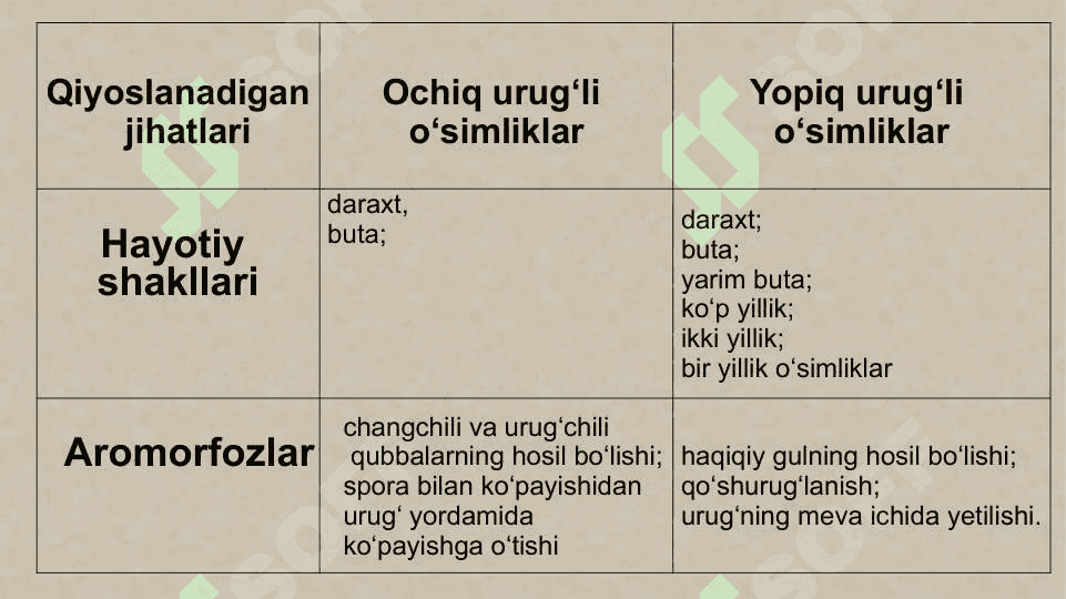 Sporali o‘simliklar, ochiq urug‘li va gulli o‘simliklar misolida aromorfoz, idioadaptatsiyalarni o‘rganish 6