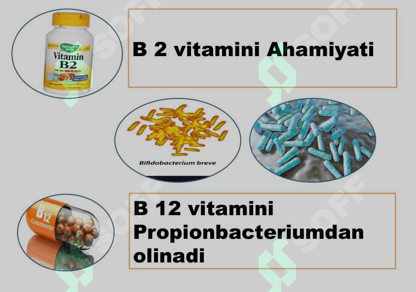O`simlik va hayvonlar seleksiyasi 7