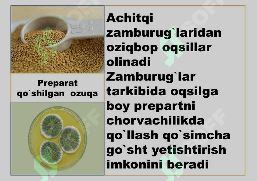 O`simlik va hayvonlar seleksiyasi 8