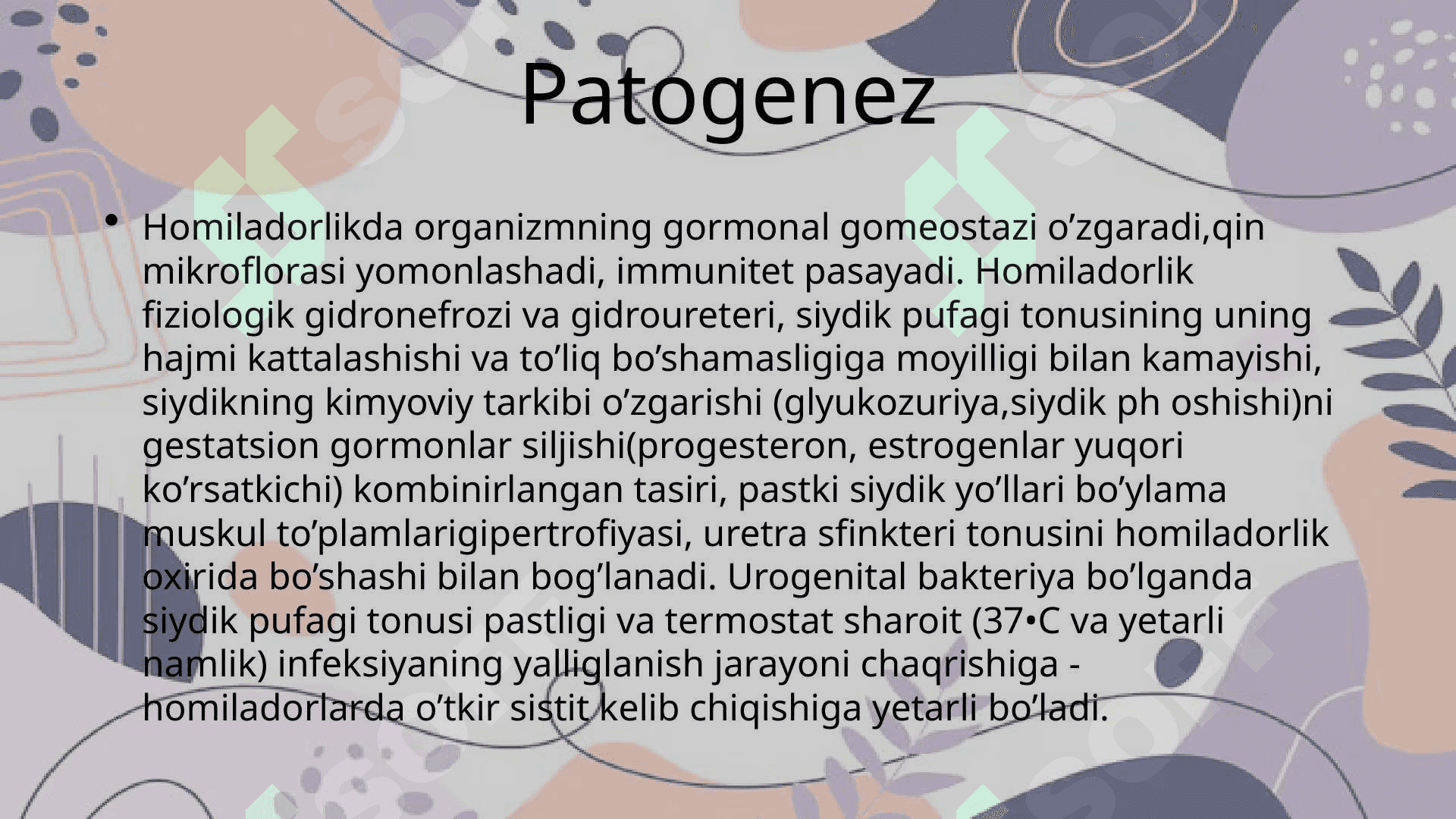 Homiladorlikda sistit 4