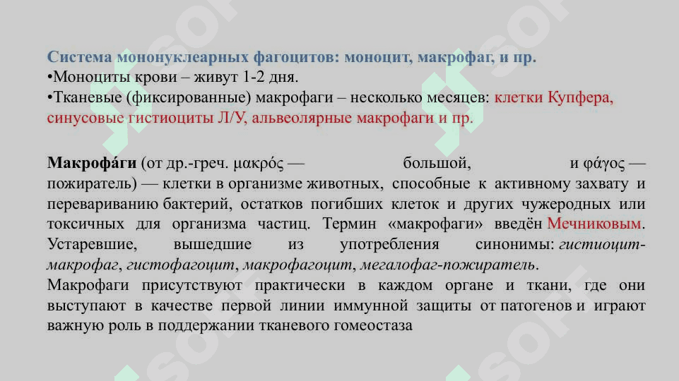 Makrofaglar va oq qon hujayralari immunologik faoliyati 8
