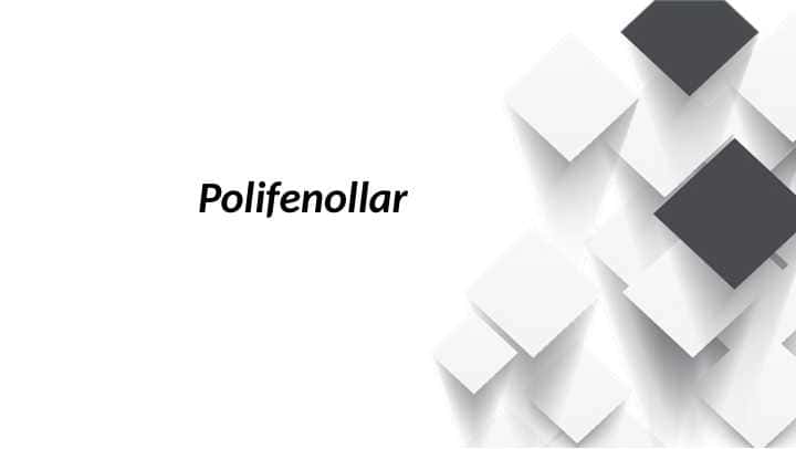 Polifenollar 1