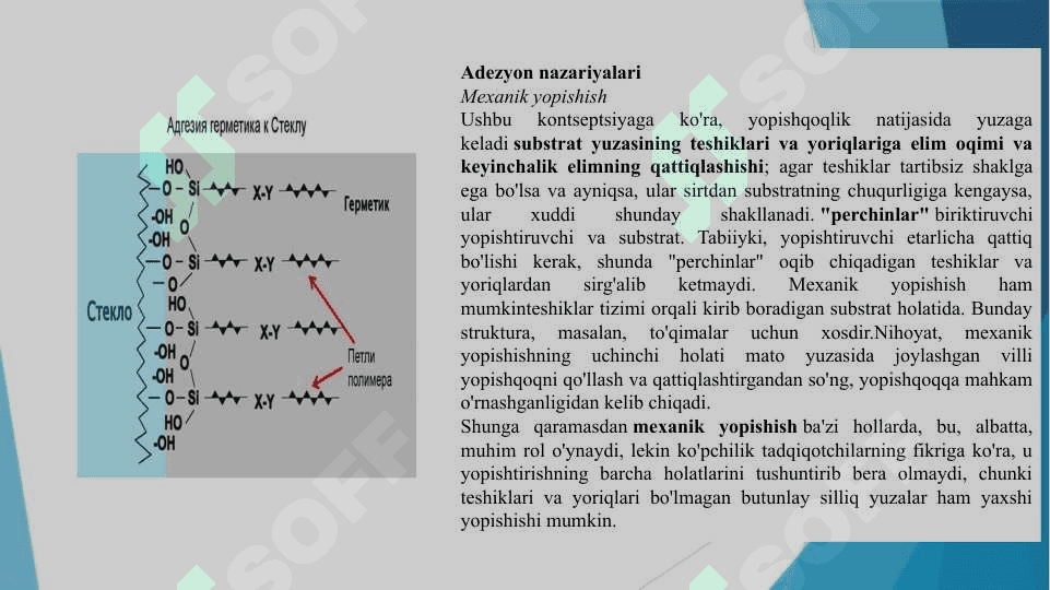 Adgeziya va uning ahamiyati 7