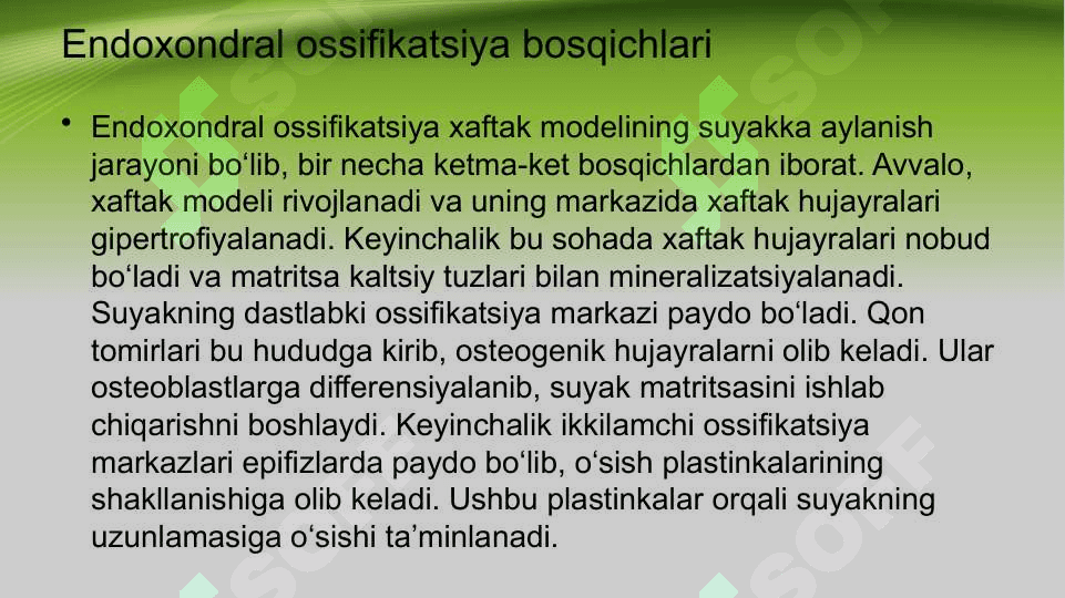 Suyaklarning oʻsishi va rivojlanishiga tasiri 6