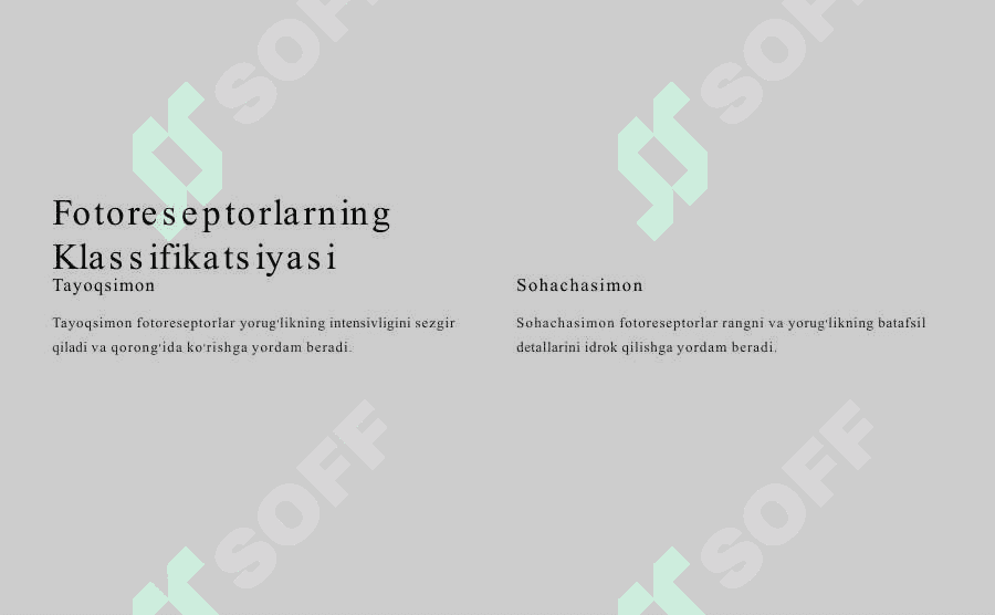 Ko'zning Fotoreseptorlari:  Marfologik Tuzilishi 2
