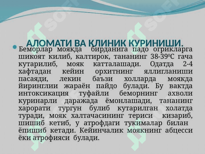 Pastki siydik yoʻllarining yalligʻlanish kasalligi orxit epidimitit  . Пастки сийдик йўлларининг яллиғланиши .Орхит . Эпидидимит 4