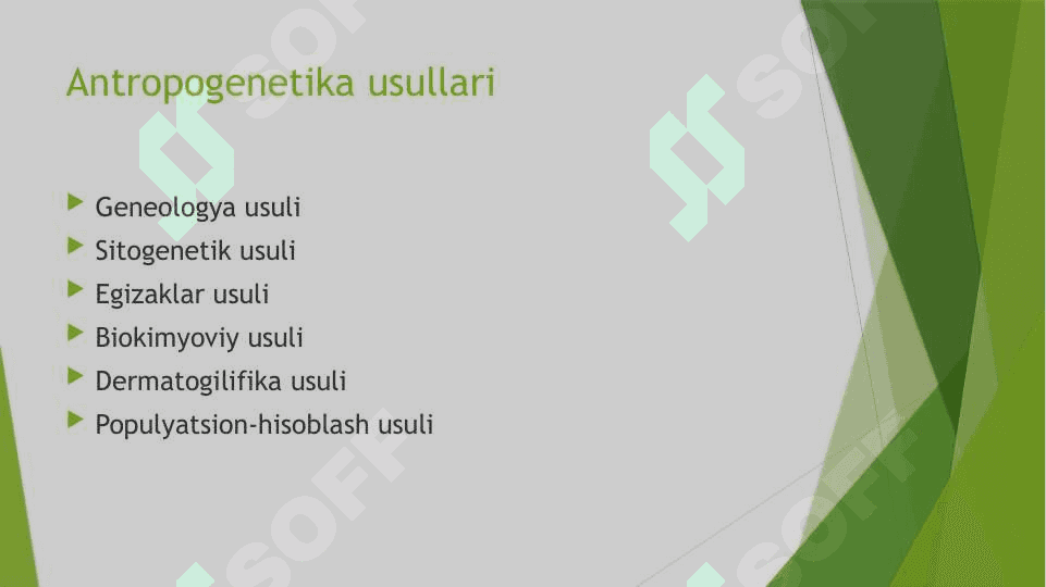 Antropogenetika  Антропогенетика 4