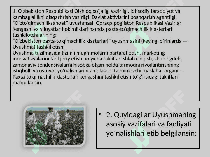 PAXTACHILIK KLASTERINING RIVOJLANISHI 3
