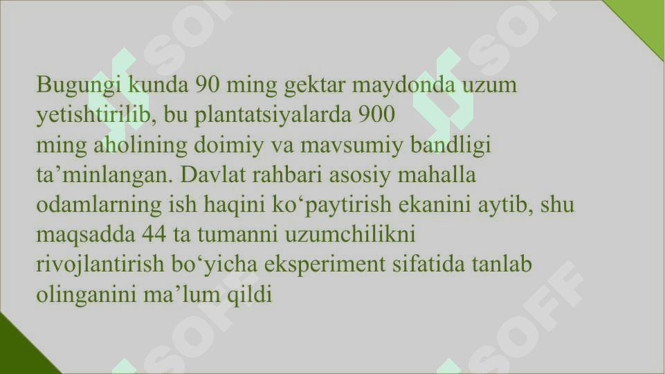 Uzumchilik klasterining rivojlanishi. 6