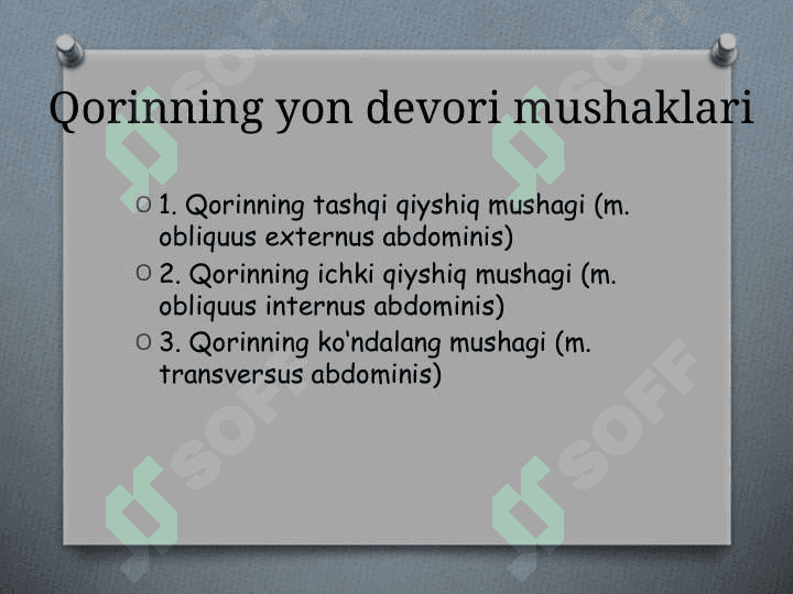 Qorin mushaklari va fassiyalari. Корин мушаклари ва фассиялари 4