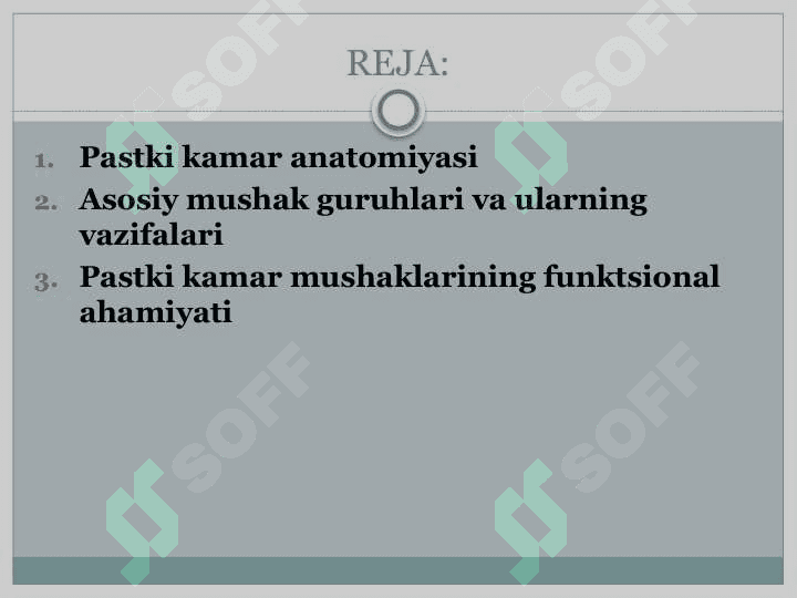Pastki kamar muskullari.pptx 2