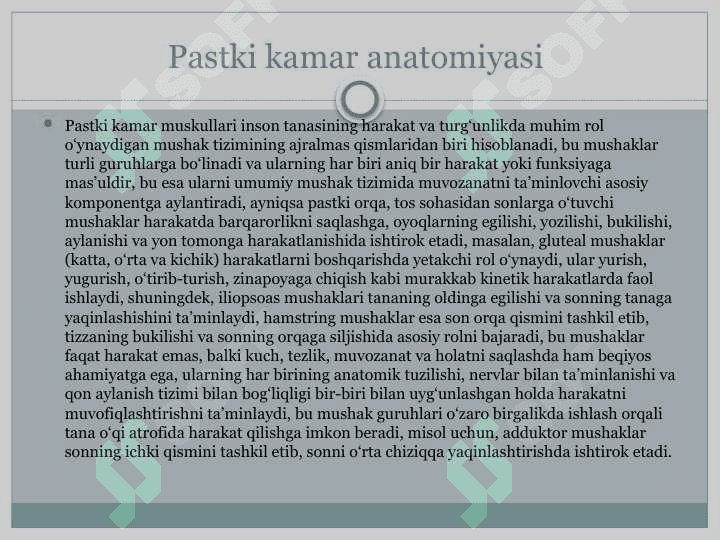 Pastki kamar muskullari.pptx 3