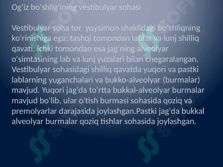 Protezlashga bog'liq tish jag' tiziming anatomik va fiziologik hususiyatlari. Протезлашга боғлик тиш-жағ тизимининг анатомик ва физиологик хусусиятлари 3