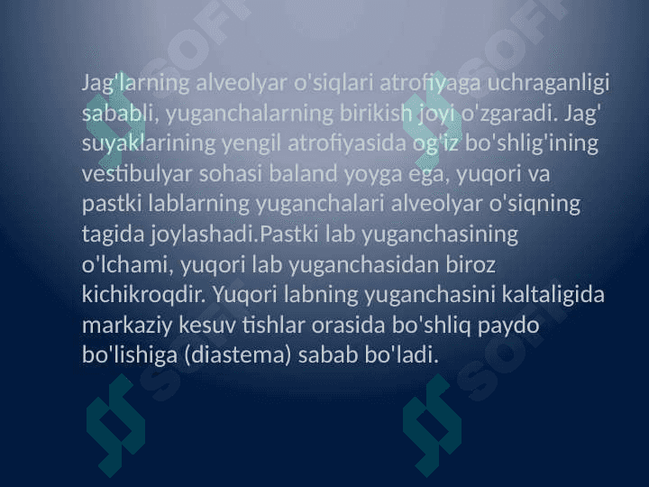 Protezlashga bog'liq tish jag' tiziming anatomik va fiziologik hususiyatlari. Протезлашга боғлик тиш-жағ тизимининг анатомик ва физиологик хусусиятлари 4