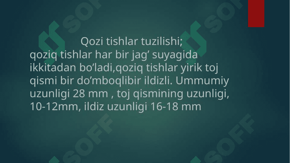 Fantomlarda IV sinf karioz bo’shliqlarini charxlash va plombalash 2