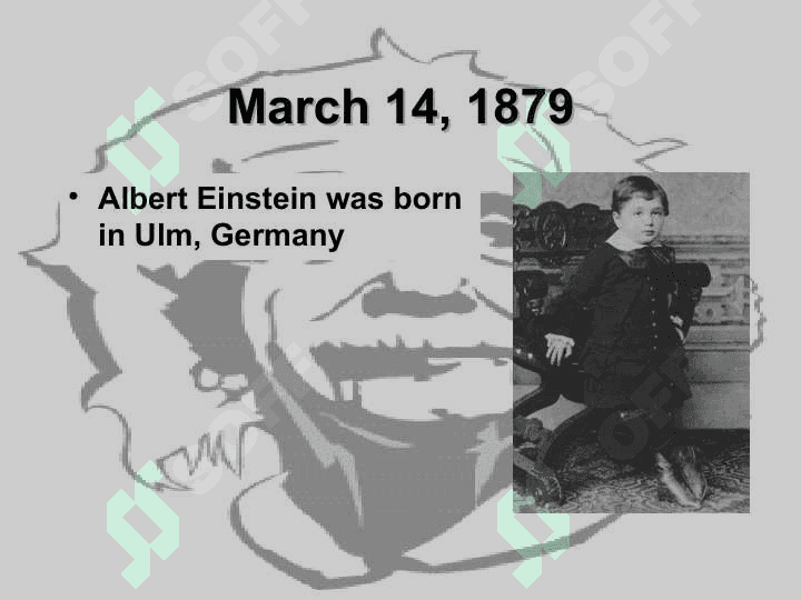 Albert Einstein 2