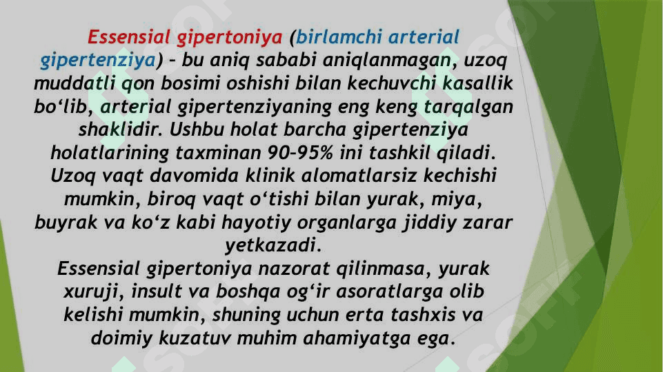 Essensial gipertoniya patogenezining zamonaviy aspektlari. Gepato – renal sindrom 2
