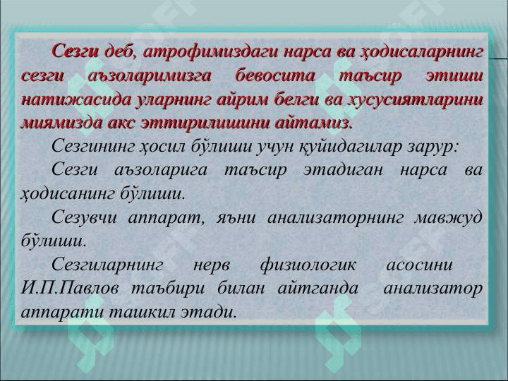 СЕЗГИ 2
