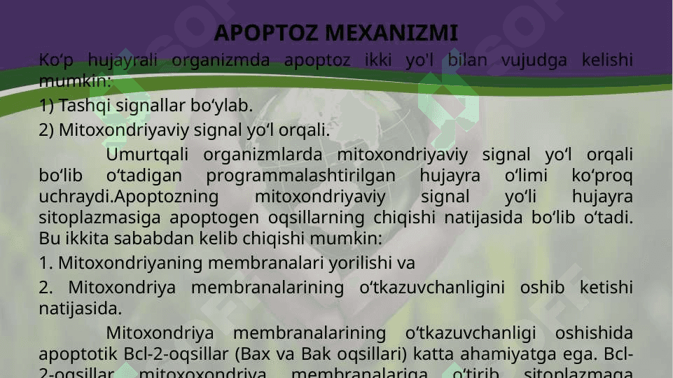 Hujayra appoptozi va uning biologik ahamiyati 2