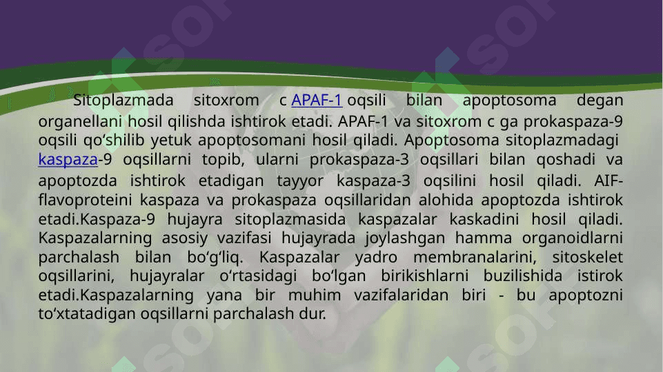 Hujayra appoptozi va uning biologik ahamiyati 3