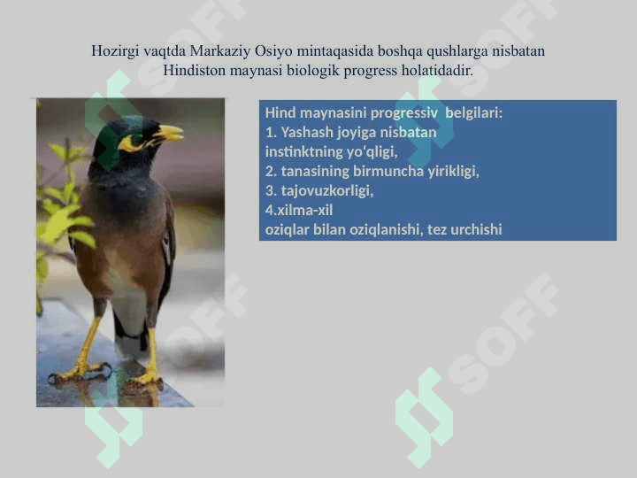 Organik olam evolyutsiyasinig asosiy yo‘nalishlari 3