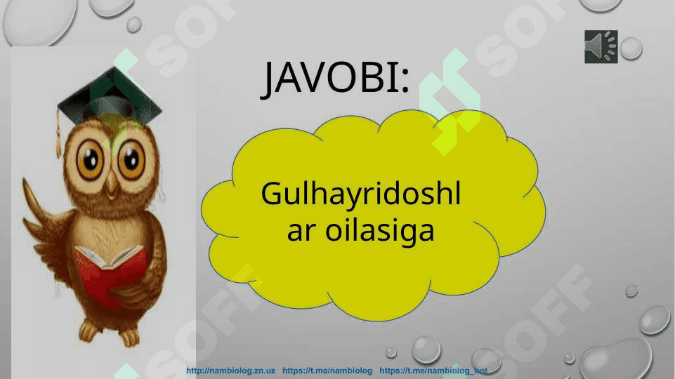 Burchoqdoshlar oilasi 3