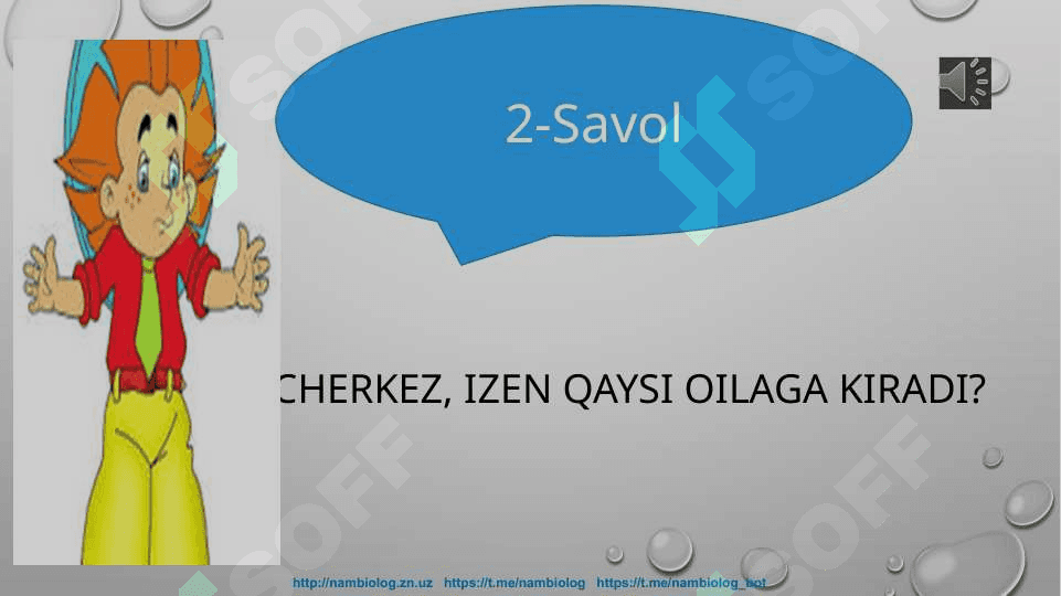 Burchoqdoshlar oilasi 4