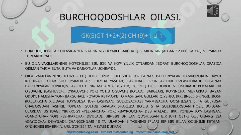 Burchoqdoshlar oilasi 6
