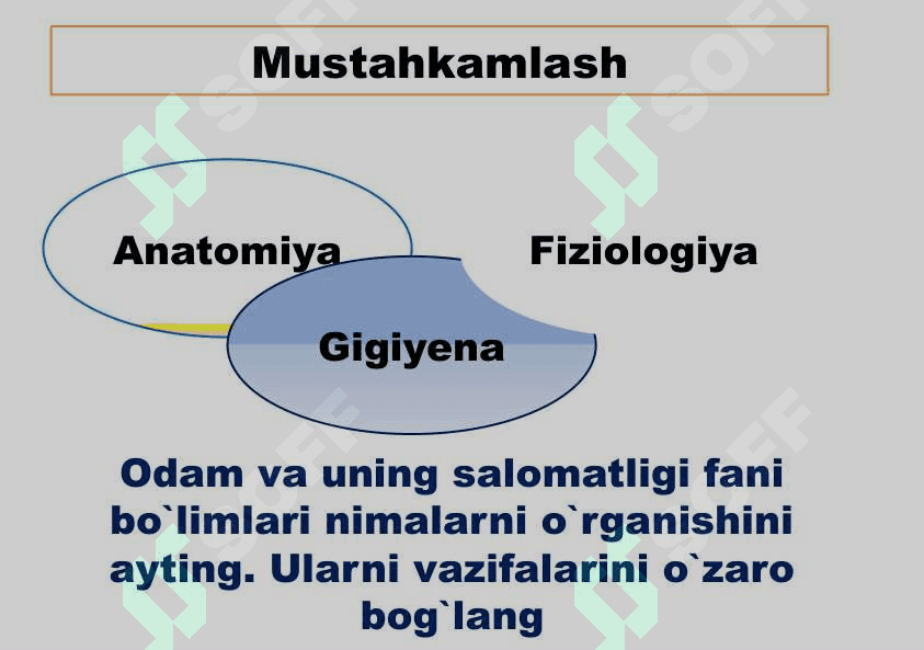 Odam organizmining hujayraviy tuzilishi 2