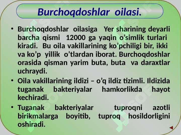 BURCHOQDOSHLAR (DUDKAKDOSH) LAR OILASI. 3
