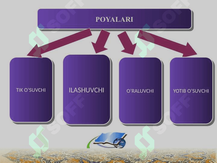 BURCHOQDOSHLAR (DUDKAKDOSH) LAR OILASI. 4