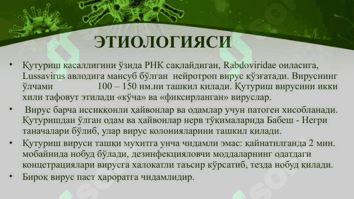 Quturish 6