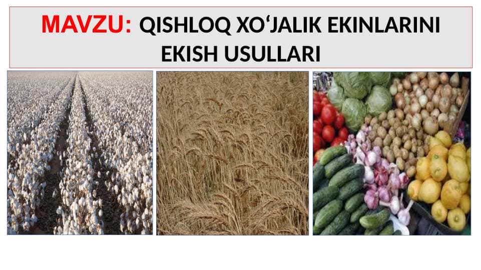 QISHLOQ XO‘JALIK EKINLARINI EKISH USULLARI 1