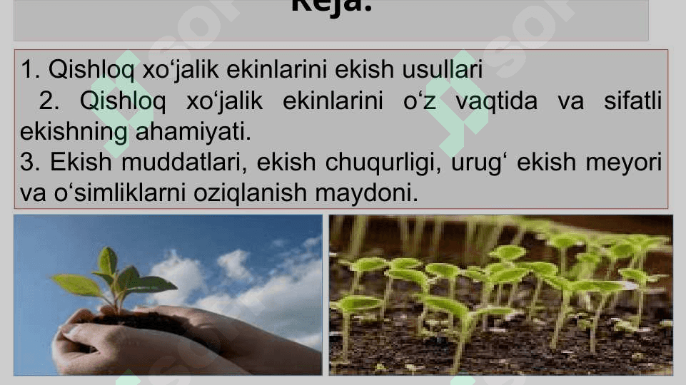 QISHLOQ XO‘JALIK EKINLARINI EKISH USULLARI 2