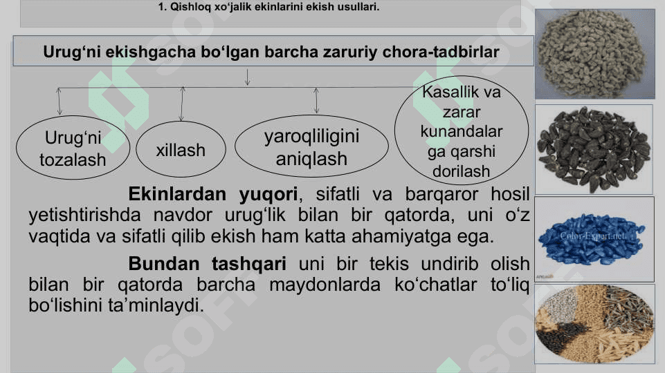 QISHLOQ XO‘JALIK EKINLARINI EKISH USULLARI 3