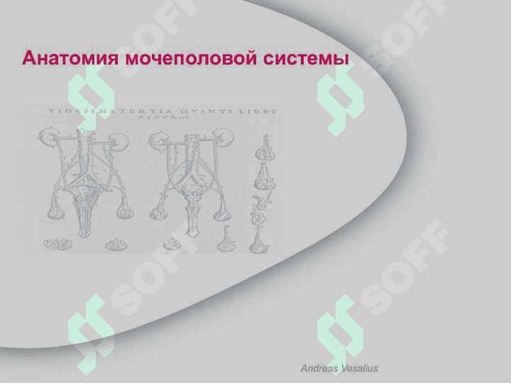 Доброкачественная гиперплазия предстательной железы ДГПЖ 3